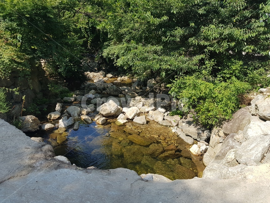 계룡산,계곡,상신계곡,맑은물,자연,자연,풍경,nature,landscape,water,물,outdoors,옥외,stream,흐름,creek,작은 만