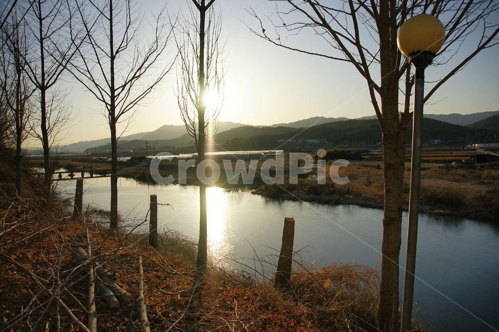 겨울,풍경,시골,빛,강,나무,가지,자연,풍경,nature,landscape,flare,플레어,light