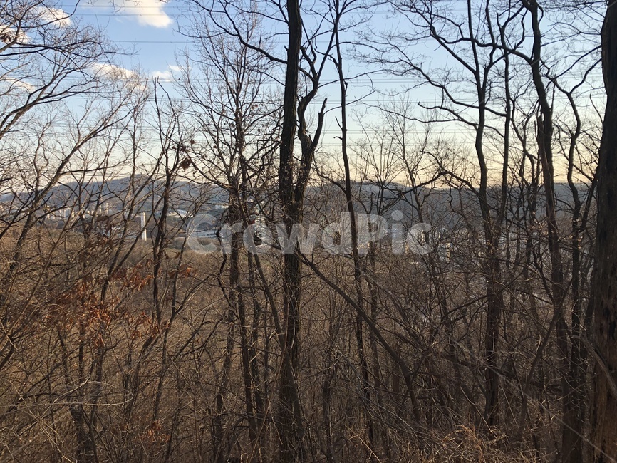 산,산정상,울창한나무,용인시,산불조심