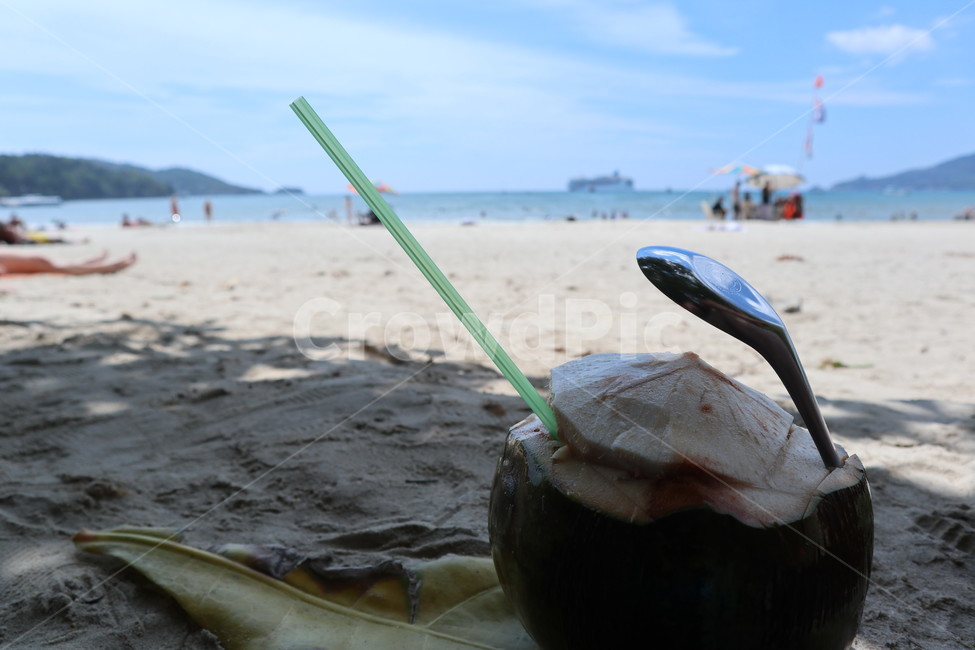 코코넛,과일,coconut,모래,해수욕장
