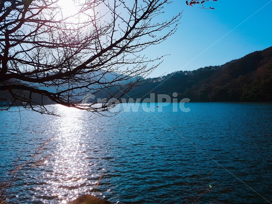 가을,단풍,강,풍경,산,자연,풍경,nature,landscape,water,물,outdoors,옥외