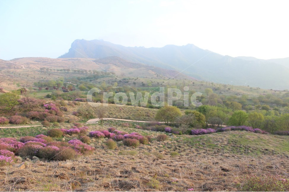 경치,자연,풍경,하늘,나무,봄,계절,spring,season,자연,풍경,nature,landscape,한국자연풍경,한국자연경관,korea nature landscape,outdoors,옥외,wilderness,황야