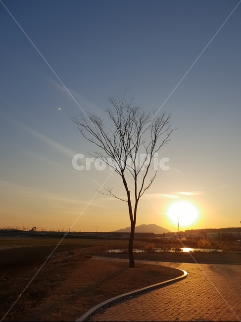 일몰,하늘,석양,나무,풍경,겨울,nature,자연,outdoors,옥외,dusk,황혼,sunset,sky,dawn,새벽,red sky,붉은 하늘,sunlight,햇빛