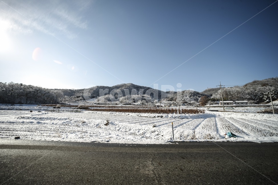 겨울,하늘,들,눈,설경,winter,sky,snow,landscape,풍경,겨울,계절,winter,season,자연,풍경,nature,landscape,outdoors,옥외
