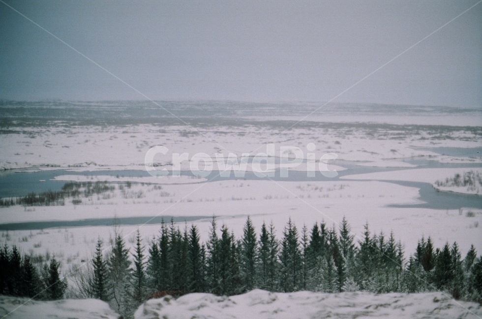 풍경,겨울,눈,winter,아이슬란드,iceland,겨울,계절,winter,season,자연,풍경,nature,landscape,해외,외국,세계,foreign,oversea,world,세계자연풍경,해외자연풍경,외국자연풍경,world nature landscape,plant,식물,tree,나무,abies,아비,fir,전나무,conifer,구과 식물