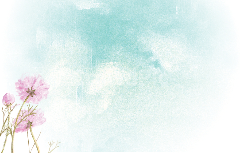 가을,코스모스,꽃,계절,하늘,감성,자연,힐링,낭만,fall,flower,plants,식물,nature,healing,blue,pink,season,추억,가을,계절,fall,autumn,season,식물,자연,plants,nature,꽃,flower,그래픽,일러스트레이션,graphic,illustration