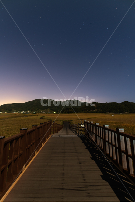 순천만,야경,별,습지,길,풍경,자연,하늘,landscape,sky,배경화면,자연,풍경,nature,landscape,야경,밤,nightscape,night,bridge,다리,boardwalk,산책로,building,건물