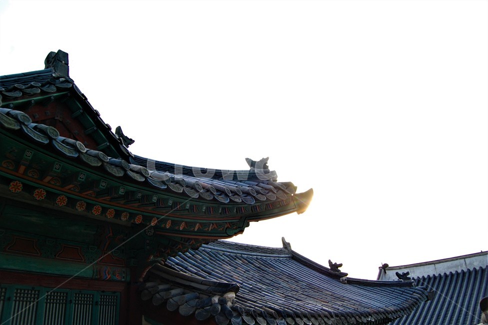 창덕궁,기와,처마,한국,궁궐,문화유산