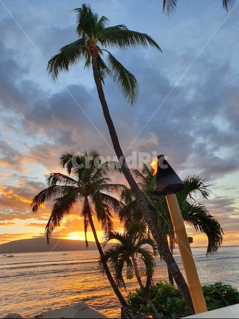 하와이,마우이,라하이나마을,야자수,노을,hawaii,maui,lahaina,palmtree,redsky,sunset,sun,clouds,구름,해,바다,sea,tree,나무