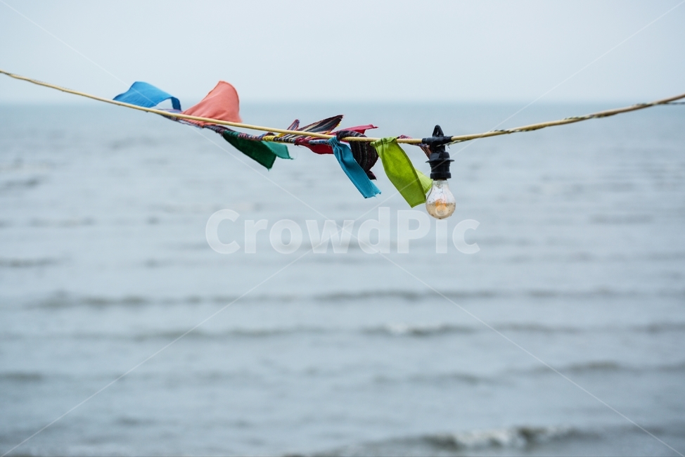바다,해변,깃발,색깔,감성,bird,새,flying,나는,animal,동물