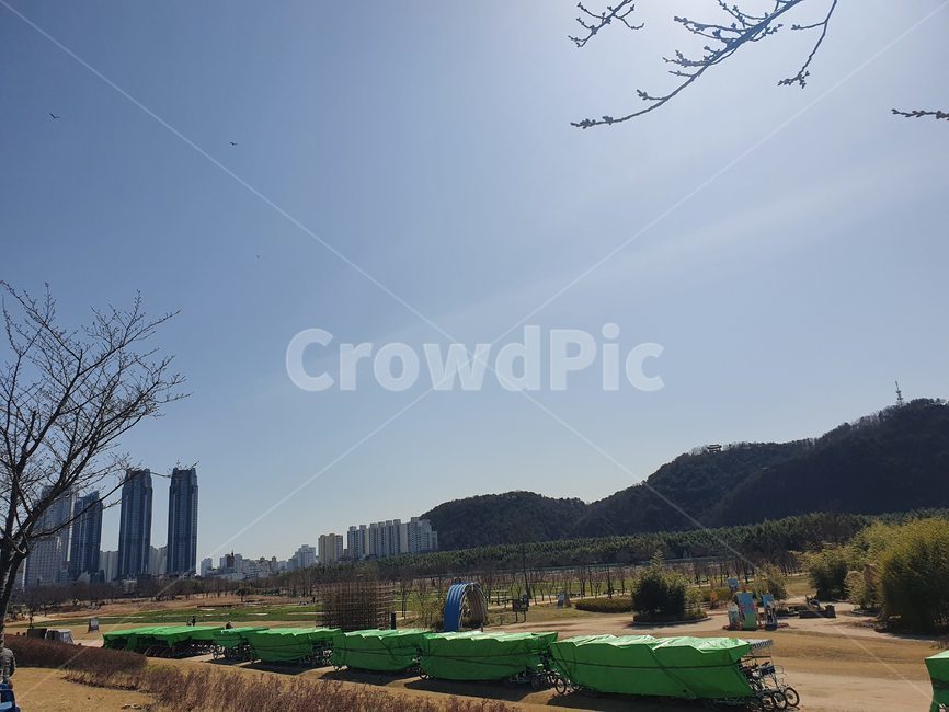 outdoors,옥외,대나무숲,잔디,자연,nature,plant,식물,tree,나무,공원,산책,대나무,숲,하늘,봄,봄날,오솔길,산책길,forest,sky,spring,park,road,sand,도시뷰,빌딩,building,cityview,울산,울산대공원,대공원