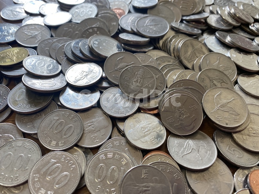 money,돈,coin,동전,경제,이코노믹,사람,지폐,저금,적금,예금