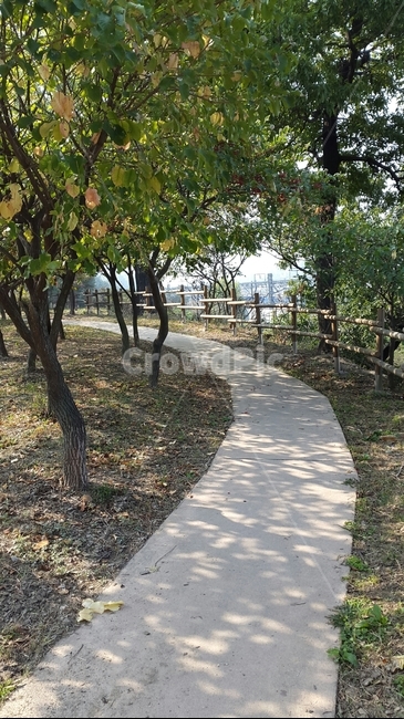 산책길,오솔길,목책길,예쁜길,숲속길,맑은아침,풍경