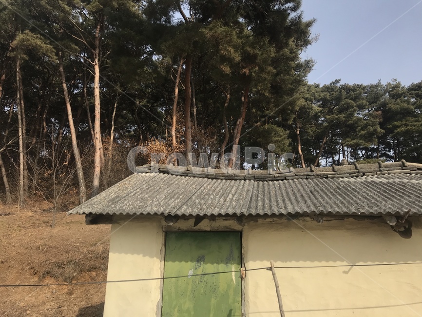 시골,초가집,산,소나무,외양간,고향,기왓장,기와,시골,마을,풍경,landscape,country,rural,town