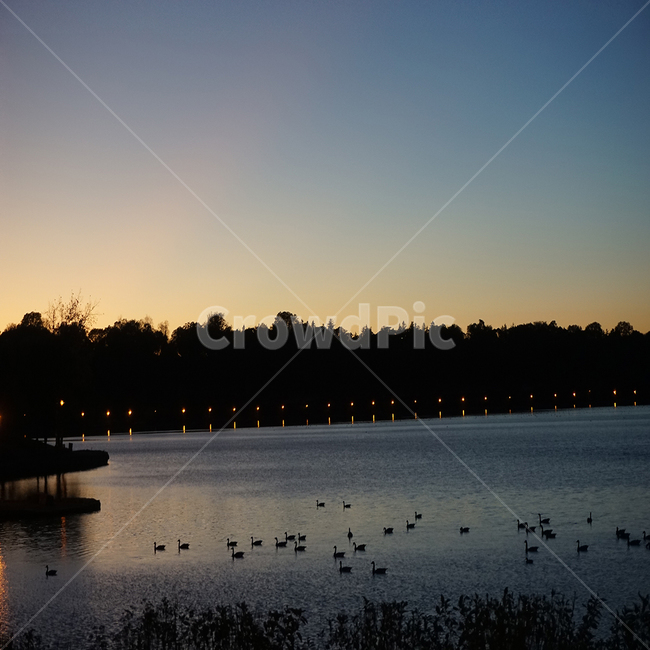 캐나다,자연,풍경,강,일몰,자연,풍경,nature,landscape,야경,밤,nightscape,night,outdoors,옥외