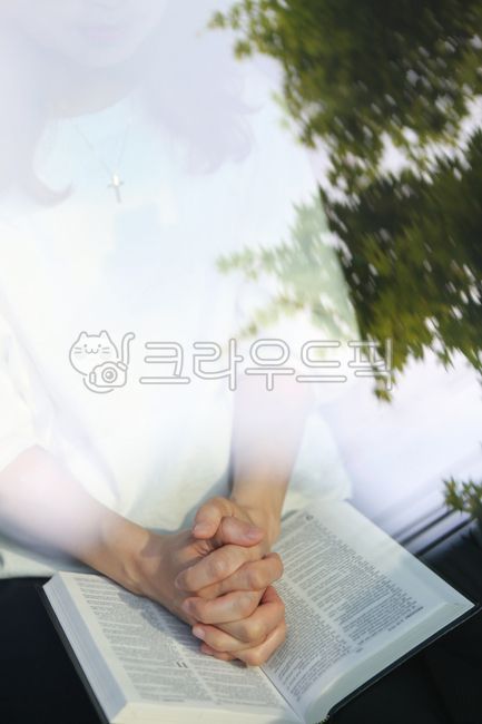 기도,크리스찬,십자가,성경책,예수그리스도,신자,신앙,교회,예배,열정,믿음,기독교인,거룩한,기도하다,기도하는,종교,창문,반사,성경,예수님,하나님,간절히,은혜,소원,소망,복음,부활절,추수감사절,고난주간,상징,예배하는,빛,햇살,기독교,천주교,성당,거룩,구원,천국,god,은혜로운,성령,미사,손,여성,배경,개념,책,사람,읽다