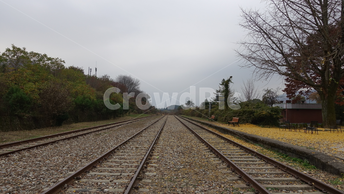 철도,나무,plant,식물,tree,가을,rail,철로,기차역,기찻길,구둔역,양평,은행잎,은행나무,벤치