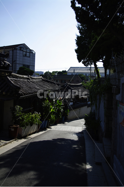 골목길,주택가,길,담장,하늘,기와지붕,roof,지붕,outdoors,옥외