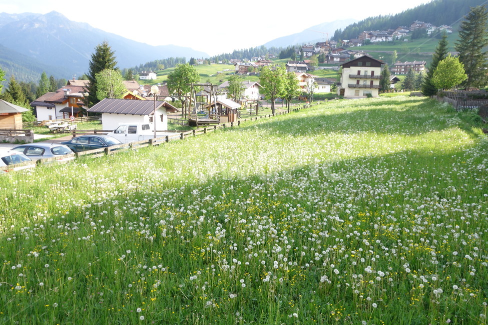 옥외,돌로미티,이탈리아,자연,dolomites,마을