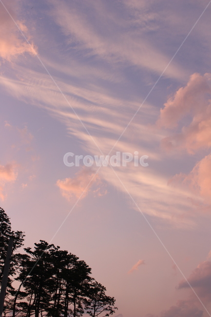 하늘,자연,구름,감성,배경,풍경,자연풍경,색감,분홍,색채,연보라,핑크,sky,clouds,pink,nature,color