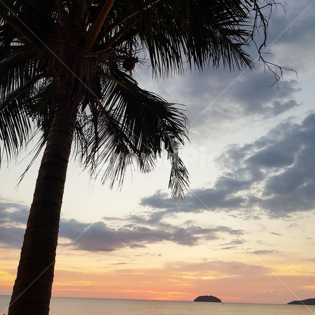 노을,선셋,붉은하늘,야자수,저녁노을,sunset