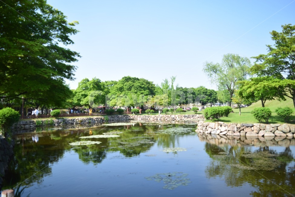 경주,배경사진,푸른하늘,대릉원,한옥사진,자연,풍경,nature,landscape,한국자연풍경,한국자연경관,korea nature landscape,water,물,outdoors,옥외,pond,못