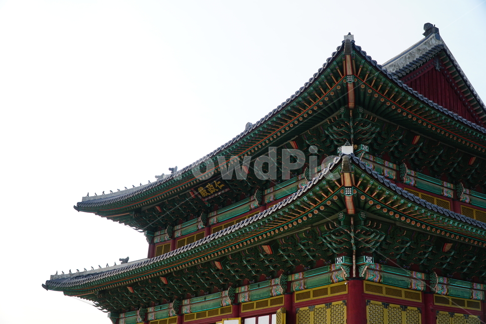창덕궁,한국,korea,대한민국,서울,seoul,고궁,궁전,궁궐,조선,조선시대,조선왕조,왕궁,한옥,한국적인,한국문화,문화,한국전통,전통,문화재,전통문화,지붕,처마,담청,풍경,landscape,자연,nature,역사,히스토리,history,봄,봄꽃,spring,4월,april,기와,왕실,palace,changdeokgung,한국자연,한국풍경,한국전통,한국문화,korean traditional,korean culture,건축물,건물외관,exterior,building,structure,architecture,construction