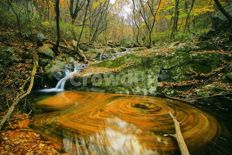 계룡산,가을,풍경,물돌이,갑사,자연,풍경,nature,landscape,water,물,outdoors,옥외