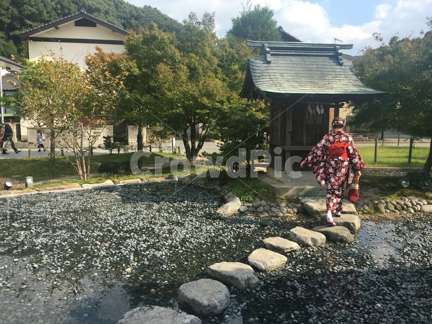 기모노,후쿠오카,일본,가을후쿠오카,일본가을,기모노가을,기모노단풍,단풍속기모노,신사와기모노,일본신사,사람,인물,인간,human,person,여성,여자,woman,female,lady