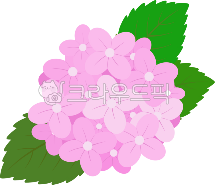 수국,여름,꽃모양,수국클립아트,수국축제,수국일러스트,수국그림,수국이미지,꽃요소,수국일러,수국모양,수국꽃,여름꽃,수국꽃다발,꽃송이,수국요소,분홍색꽃,핑크색꽃,핑크꽃,분홍꽃