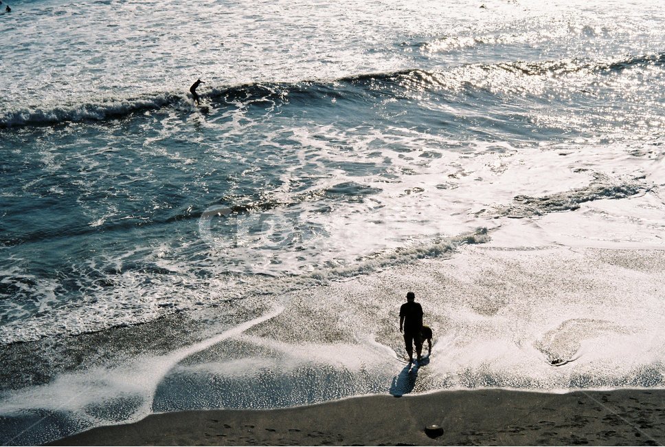 일본,가마쿠라,카마쿠라,파도,바다,자연,필름,outdoors,옥외,water,물,sea,ocean,대양,nature,human,인간,person,사람