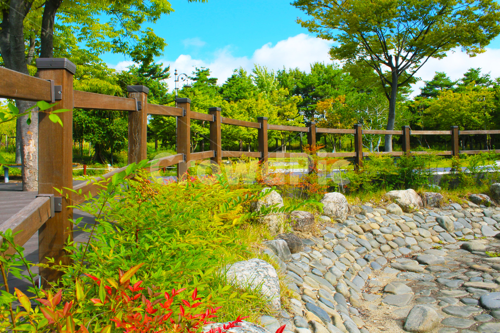 울타리,하늘,나무,구름,자갈,조약돌,풀,자연,풍경,nature,landscape,outdoors,옥외,garden,정원,arbour,정자