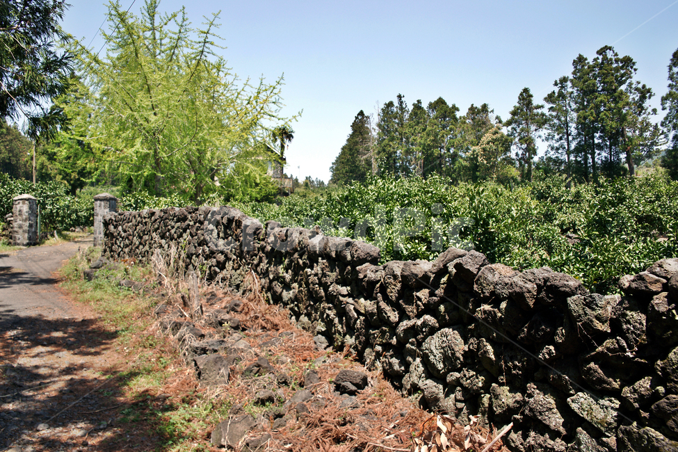 제주,서귀포,올레71코스,올레길,귤밭,밭,돌담,자연,풍경,nature,landscape,제주도,jeju,jeju island,wall,벽,soil,흙