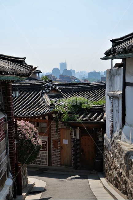 골목,전통,빈티지,한옥,북촌,서울,한국,대한민국,집,디자인,창문,창호,건축,건축물,동양,문화,스타일,목재,주택,기와,마루,툇마루,난간,지붕,장독,장독대,처마,돌담,디딤돌,고풍,주춧돌,보존,보호,남산골,구조,전통미,가옥,도시,풍경,city,landscape,한국도시풍경,한국도시경관,korea cityscape,골목길,alley,한국전통,한국문화,korean traditional,korean culture,roof