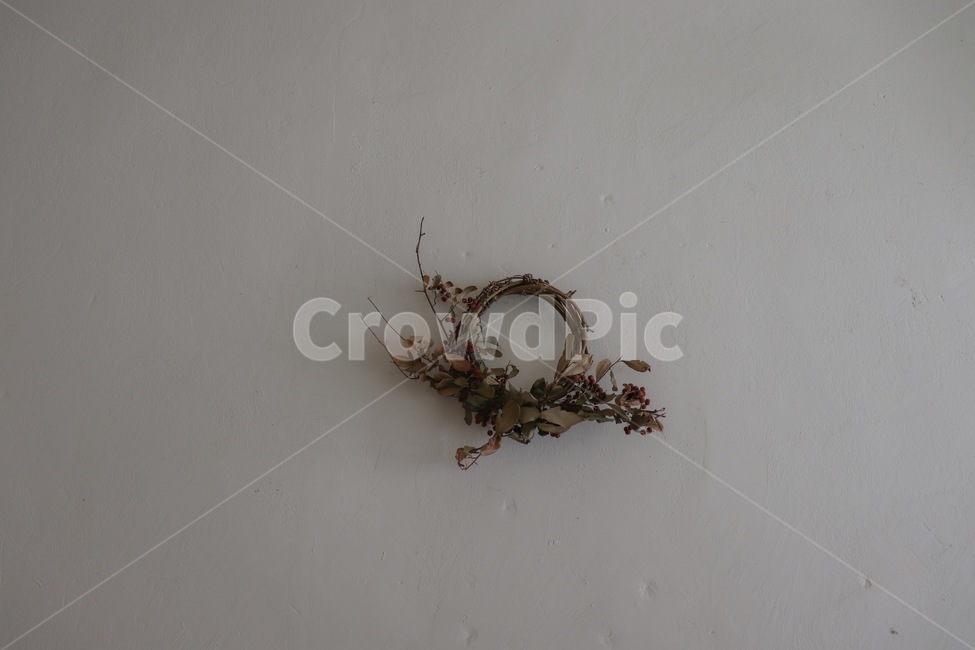 장식,드라이플라워,벽,인테리어,실내인테리어,인테리어,실내디자인,interior design