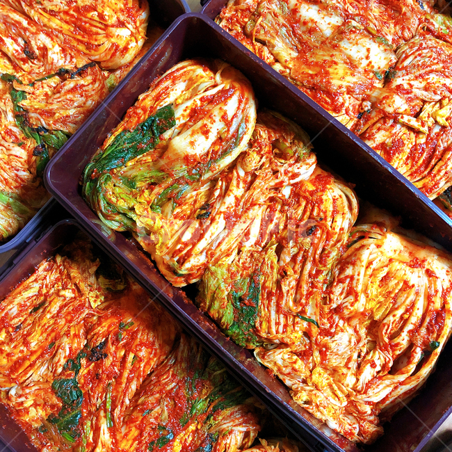 김장,김치,배추,한식,음식,전통,반찬,한국,양념,고춧가루,음식,식재료,요리,food,cook,meal,dishes,food reserves,한식,한국음식,한국요리,korean food,korean dishes,korean meal,korean cook