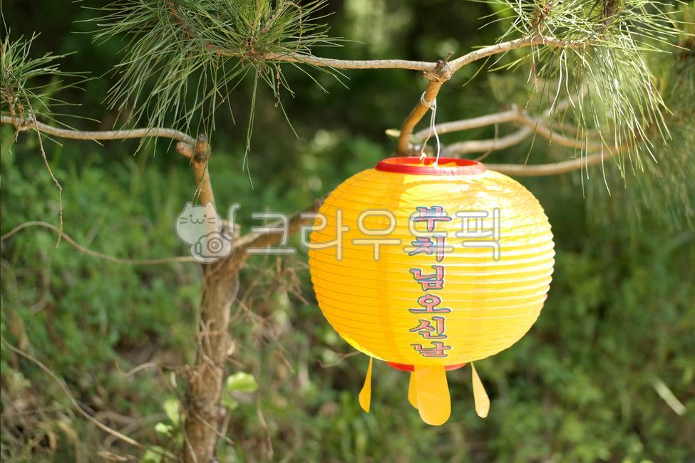 등,부처님오신날,자연,풍경,배경,경치,부처님,휴일,달력,등불,석가,석가탄신일