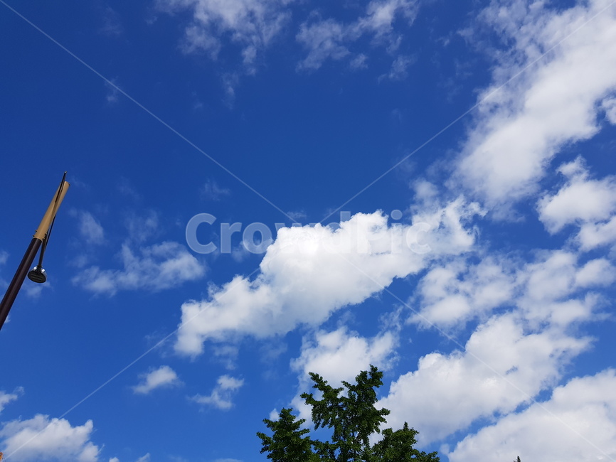 구름,하늘,파란하늘,뭉게구름,특이한구름,푸른하늘,파란,special,cloud,sky