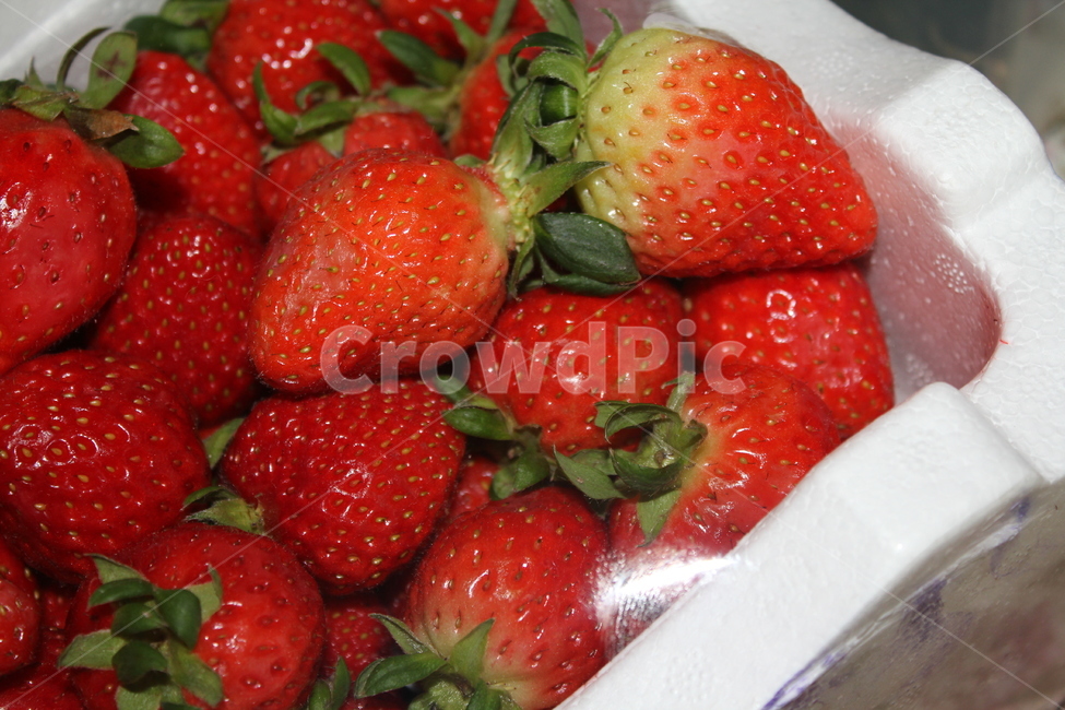 딸기,과일,음식,빨강,자연,음식,식재료,요리,food,cook,meal,dishes,food reserves,과일,열매,fruit