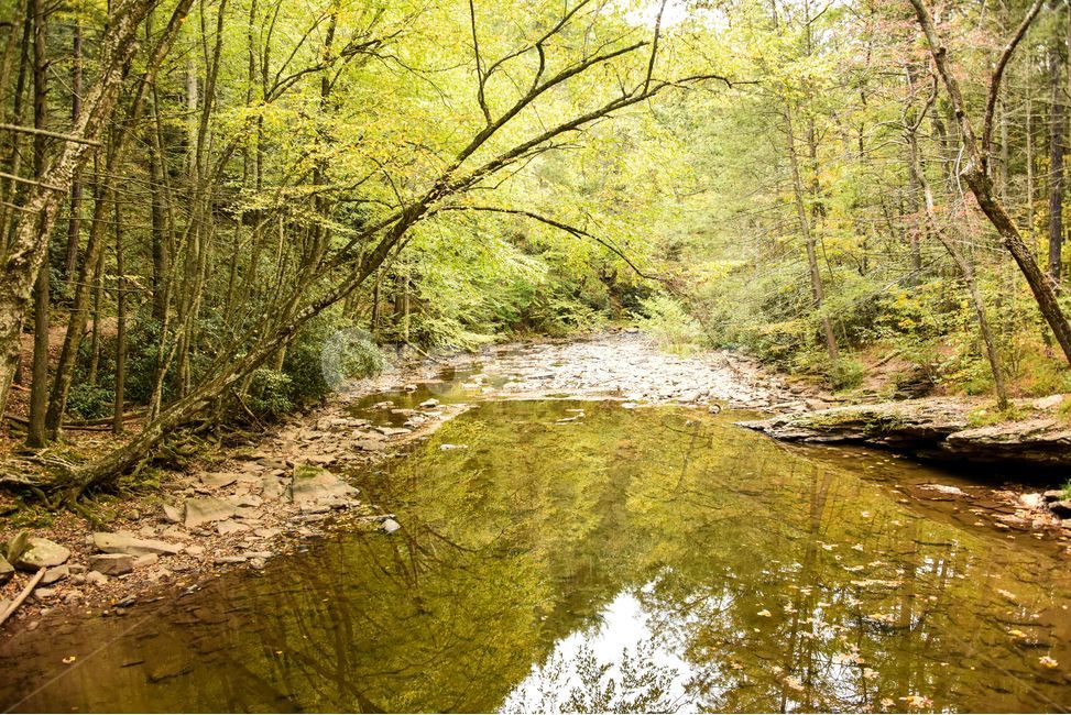 물,자연,creek,평온함,nature,자연,풍경,nature,landscape