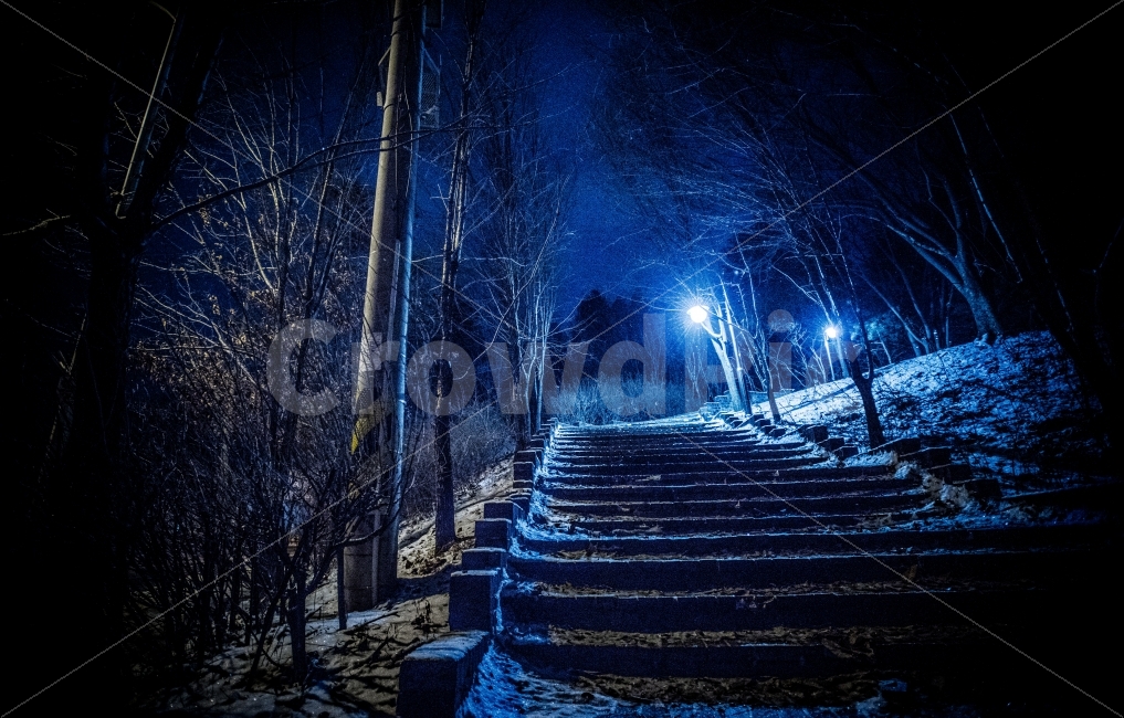 야간사진,눈온뒤,계단,풍경사진,가로등,겨울,계절,winter,season,야경,밤,풍경,nightscape,night,landscape,handrail,난간,banister