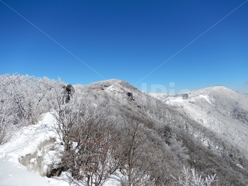 소백산,눈꽃풍경,상고대,겨울풍경,국립공원,겨울동화,힐링,감성,아름다움,뷰티풀,설국,눈풍경,파란하늘,100대명산,겨울명산,설경,서리꽃,영동,snow,landscape,눈,화이트,자연,신비로운,경이로운,천상,비경,치유,겨울,계절,winter,season,자연,풍경,nature,landscape,한국자연풍경,한국자연경관,korea nature landscape,outdoors,옥외,mountain,산,ice,얼음,mountain range,산맥