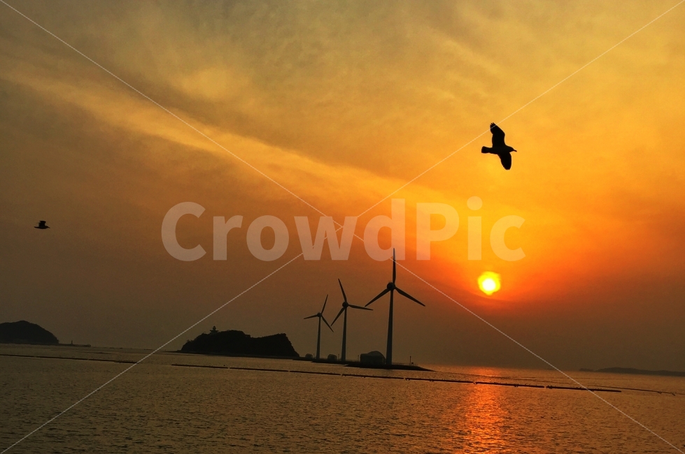 sunset,sight,Seagull,Halation,Tando Port