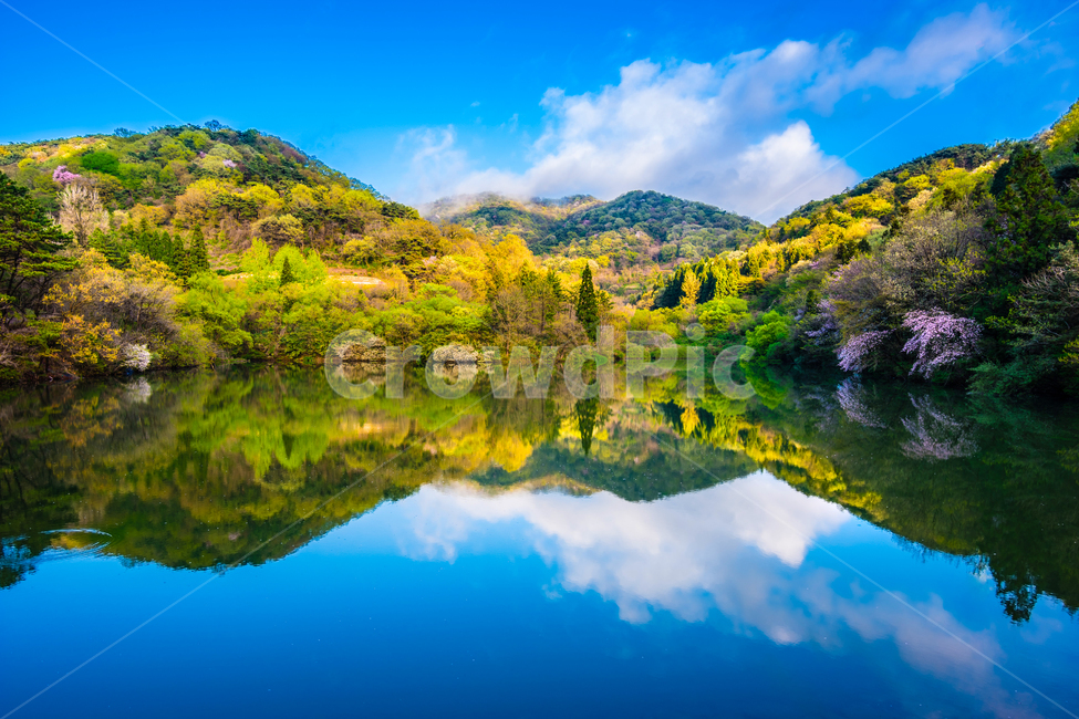세량지,세량제,물,화순군,봄,호수,전라남도,봄,계절,spring,season,자연,풍경,nature,landscape,한국자연풍경,한국자연경관,korea nature landscape,water,outdoors,옥외,lake,mountain,산,mountain range,산맥