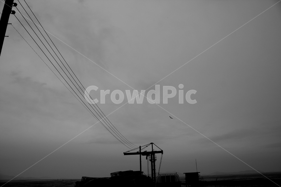 흑백사진,강화도,항구,항만,새,하늘,흑백,서해,blackandwhite,bird,westsea,port,ganghwaisland,korea,한국,갯벌,saltflats,바다,sea
