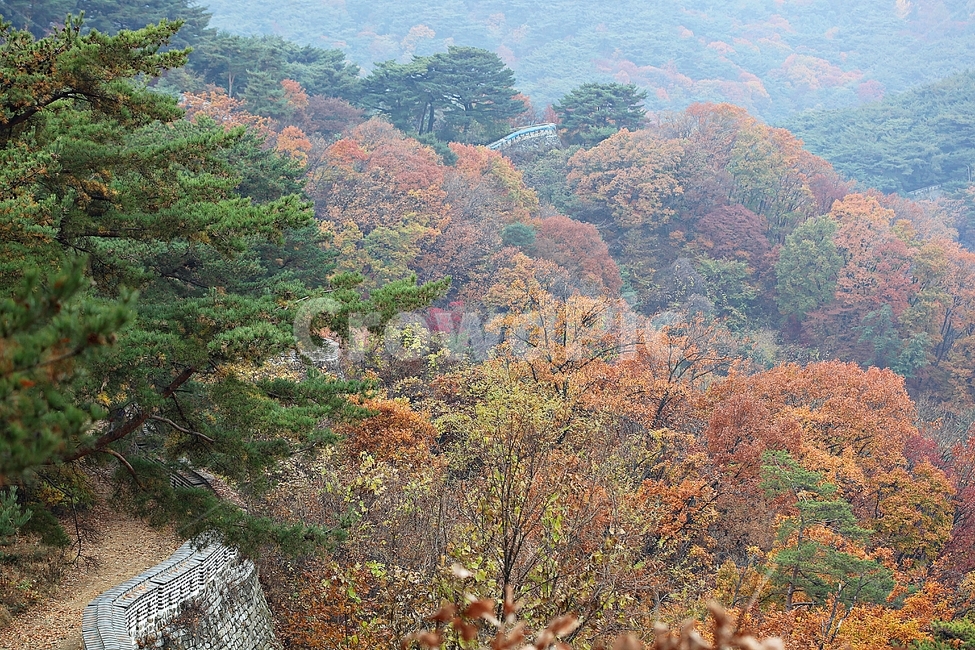 남한산성,성,성곽,단풍,낙엽,길,둘레길,숲,숲길,담,돌담,가을,자연,풍경,벽,울긋불긋,산성,식물,가을,계절,fall,autumn,season