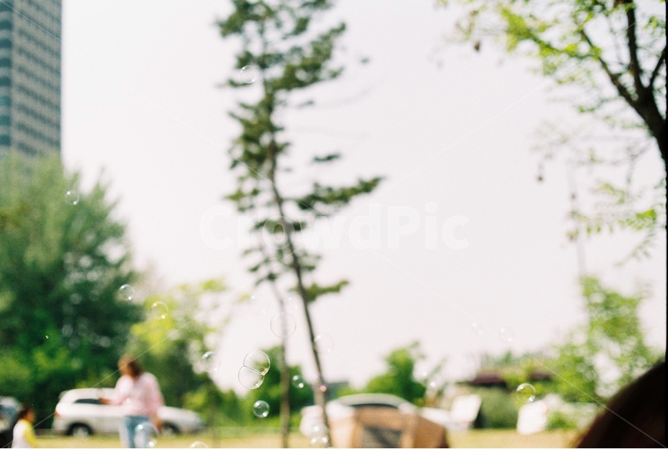 여의도,소풍,비눗방울,나무,필름,필름사진,picnic,blowbubbles,film,tree