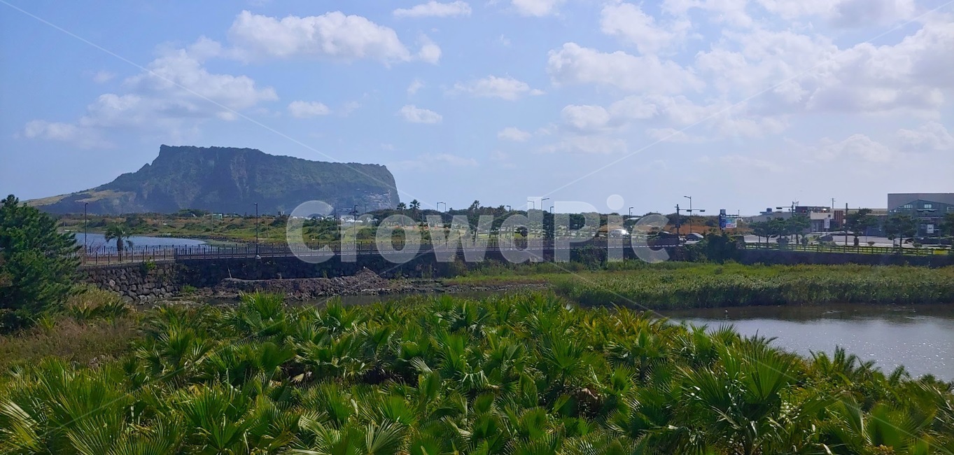 nature,outdoors,옥외,자연,성산일출봉,하늘,빛,야자,풍경,자연,풍경,nature,landscape