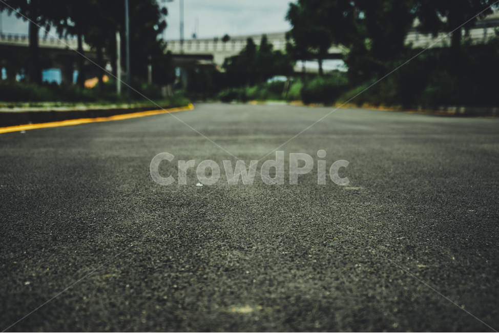 도로,아스팔트,차도,길,나무,다리,하늘,sky,bridge,road,wood,asphalt,low,교통,교통수단,traffic,transportation