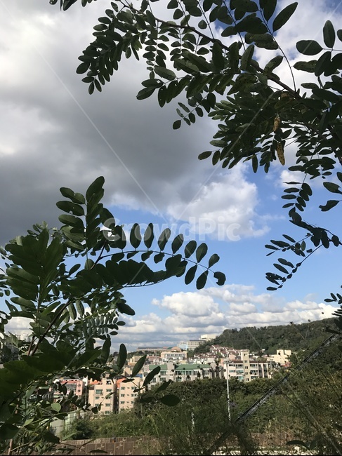 등산,나무,여름,상쾌,시원,자연,풍경,nature,landscape,outdoors,옥외,weather,날씨